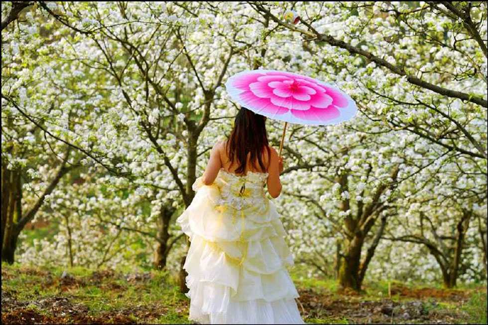 【春天,广西桂林灌阳县向您发出邀请!】我们在灌阳看梨花 - 游山玩水 - 长春生活社区 - 长春28生活网 cc.28life.com