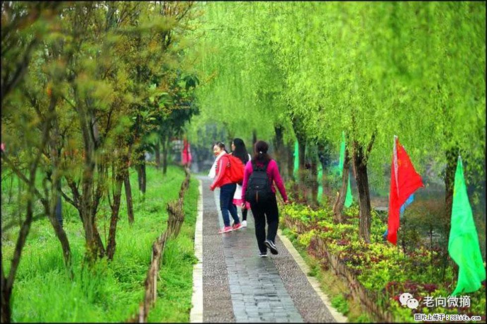 【春天,广西桂林灌阳县向您发出邀请!】江口老街又逢春 - 游山玩水 - 长春生活社区 - 长春28生活网 cc.28life.com