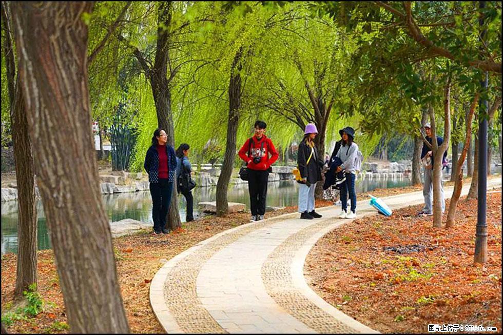 【春天,广西桂林灌阳县向您发出邀请!】江口老街又逢春 - 游山玩水 - 长春生活社区 - 长春28生活网 cc.28life.com