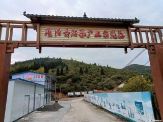 【灌阳县油茶产业示范区】一个有着充实的精神生活的人,对待身外之物自会有一种淡泊的态度 - 长春28生活网 cc.28life.com
