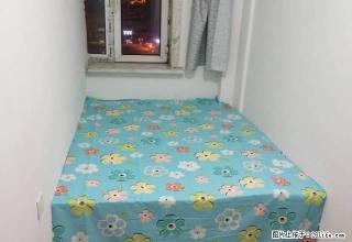 (单间出租)精装修公寓.全部石墙,男女不限 - 长春28生活网 cc.28life.com