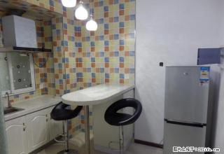 精装修 小吧台风格一室一厅 随时入住 好房不等人 - 长春28生活网 cc.28life.com