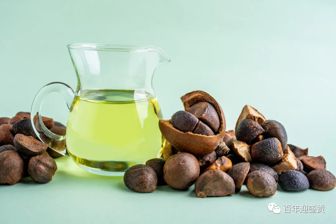 世界没有真相，只有认知，最好的食用油是中国的山茶油！ - 长春生活资讯 - 长春28生活网 cc.28life.com