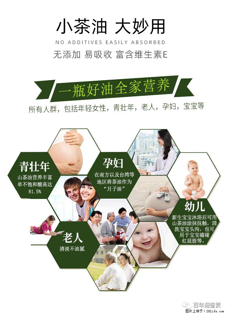 世界没有真相，只有认知，最好的食用油是中国的山茶油！ - 长春生活资讯 - 长春28生活网 cc.28life.com