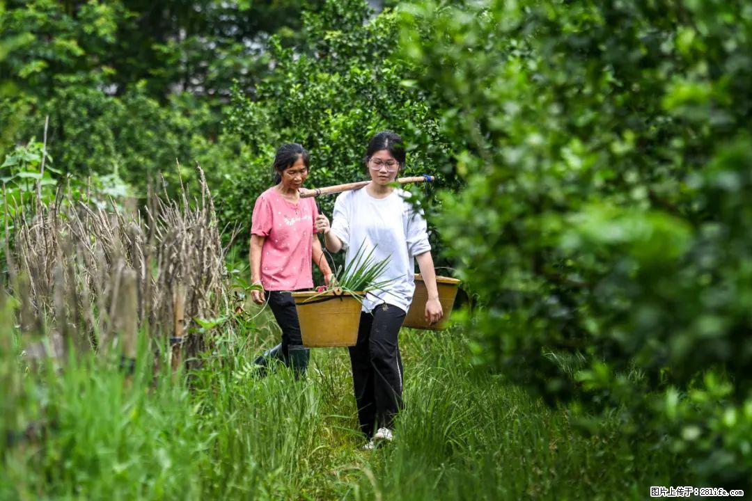 全网追的“扁担女孩”，找了一份暑假工，时薪12元 - 长春生活资讯 - 长春28生活网 cc.28life.com