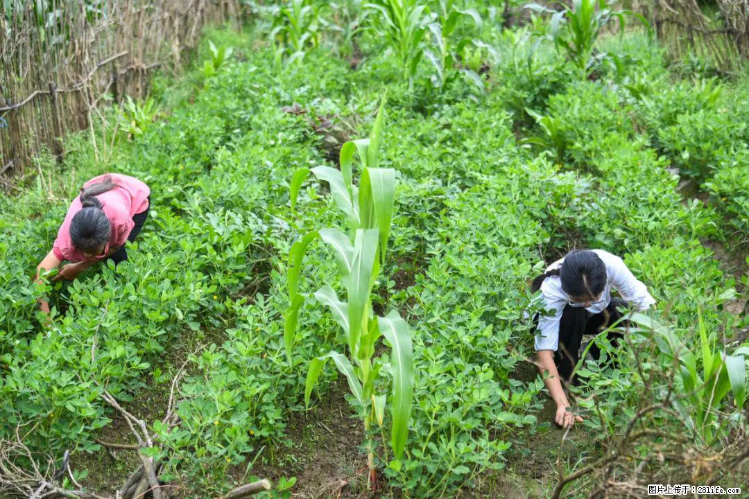 全网追的“扁担女孩”，找了一份暑假工，时薪12元 - 长春生活资讯 - 长春28生活网 cc.28life.com