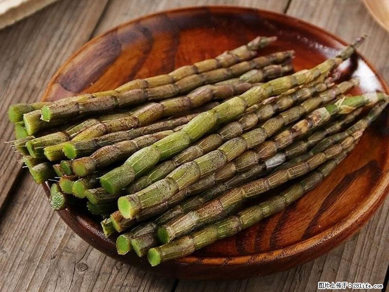 铁皮石斛的作用与功能主治 - 长春生活资讯 - 长春28生活网 cc.28life.com