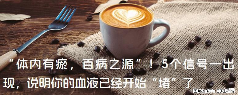 “体内有瘀,百病之源”!5个信号一出现,说明你的血液已经开始“堵”了 - 长春生活资讯 - 长春28生活网 cc.28life.com