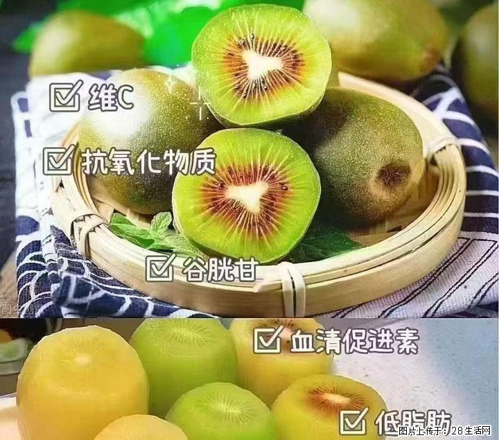 广西桂林平乐桥亭【红心猕猴桃】、【大秋甜柿】上市啦，欢迎各位新老客户下单（另有少量小果出售） - 长春生活资讯 - 长春28生活网 cc.28life.com