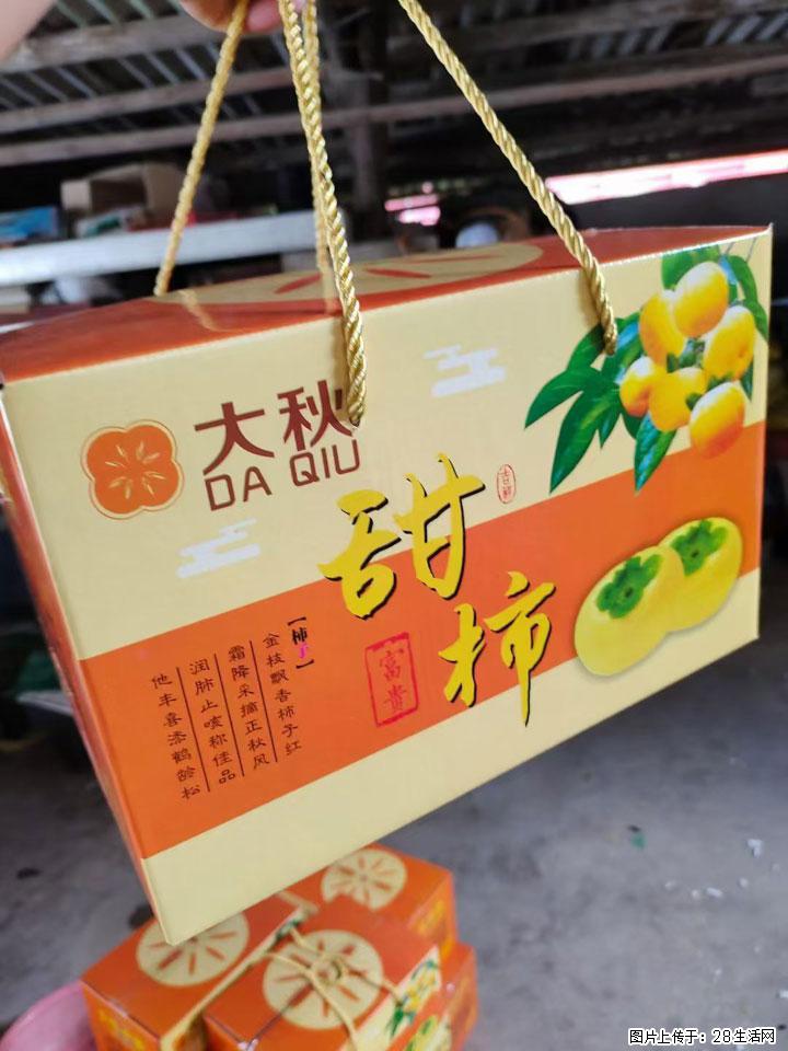 广西桂林平乐桥亭【红心猕猴桃】、【大秋甜柿】上市啦，欢迎各位新老客户下单（另有少量小果出售） - 长春生活资讯 - 长春28生活网 cc.28life.com